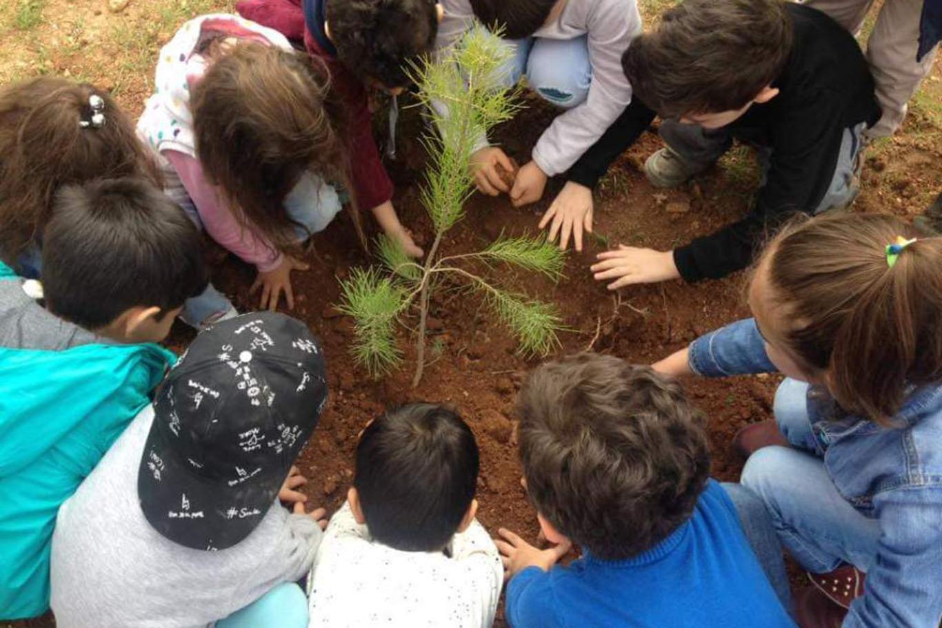 Minik öğrencilerden hatıra ormanı Minik öğrencilerden hatıra ormanı